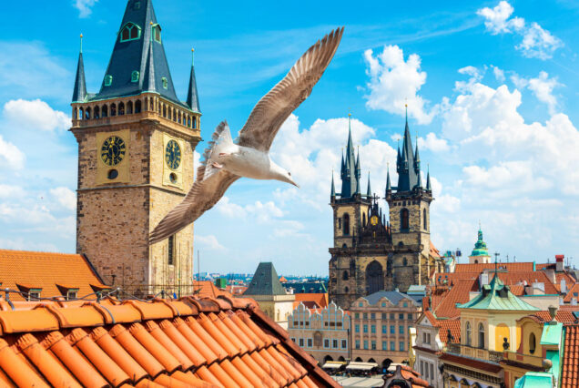 FREE TOUR IMPRESCINDIBLE DE PRAGA